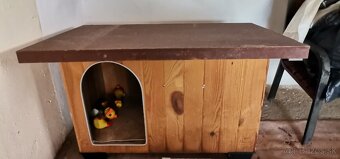 Psia búda na predaj. - 2