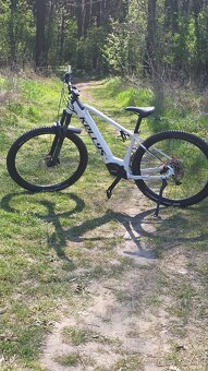 kellys tayen R50 - 2
