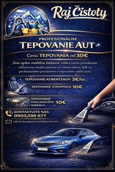 Profesionálne tepovanie interiéru vozidiel - 2