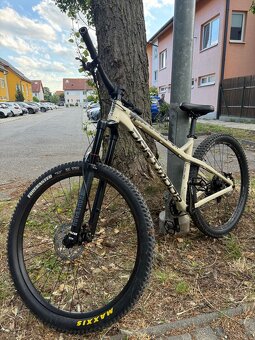Dartmoor Primal 29 M - 2