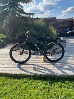 CTM DIRTKING PRO 2020 - 2
