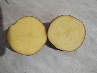 Sadbové zemiaky - 2