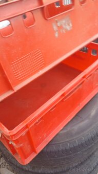 Červené Mäsiarske bedničky - 2