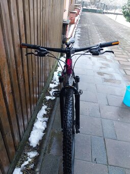 Predam Leader fox galaxy . - 2