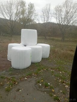 Senaz  psenicna slama - 2