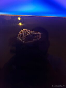 💻 🔥 MacBook Pro 15" (2017) – i7 / 16 GB RAM / 512 GB SSD - 2