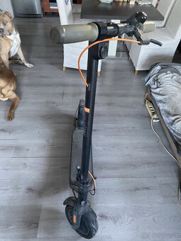 Segway ninebot kickscooter F30E - 2