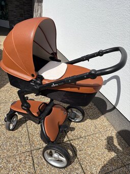 Mima xari camel - 2