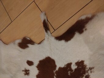 Predložka koža 1x1m - 2