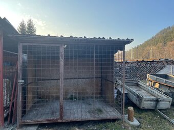 Predam psiu budu. - 2