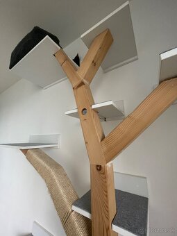 Strom pre mačky - 2