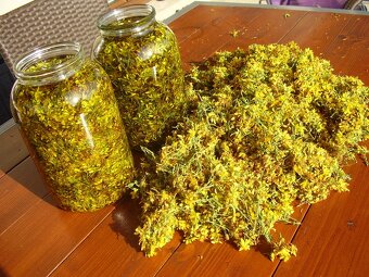 Predám Jánsky olej (Ľubovníkový olej) - 2