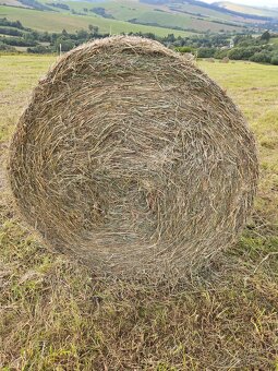 Predám seno - 2