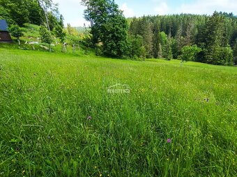 Exkluzívne na predaj rekreačný pozemok 982 m2, Staškov pri Č - 2