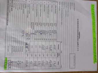 Trofej,parohy,parozie - 2