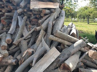 Palivové drevo - 2