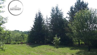 Záhradka s chatkou – Sečovce (Vinice) - 2