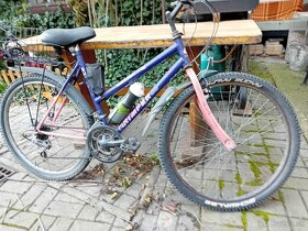 Pánsky a dámsky horský bicykel - 2