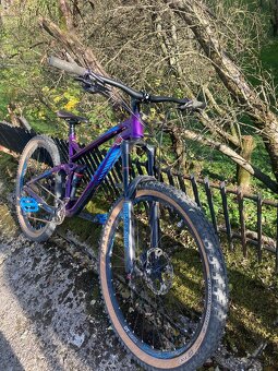 Trek remedy8 - 2