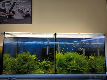 Akvárium 100x40x40 (160L) - 2