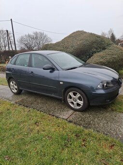 Seat Ibiza - 2