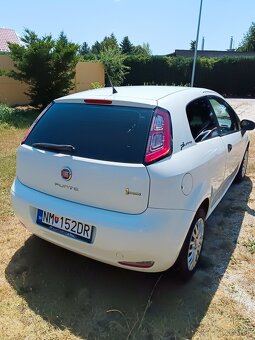 Predam Fiat Punto - 2
