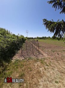 Na predaj rekreačný pozemok LEvice s vin.domom - 2