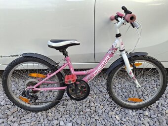 Detsky bicykel DEMA 20 - 2