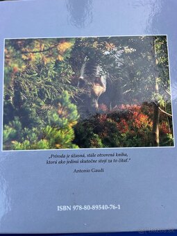 Rok v divočine Karol Kaliský - 2