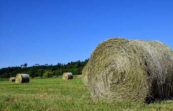Predám balíky sena - 2