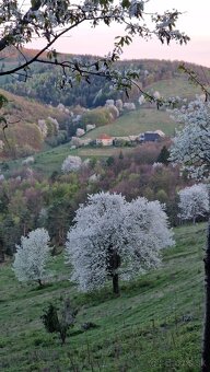 Rodinny dom Kralova Zvolen - 2