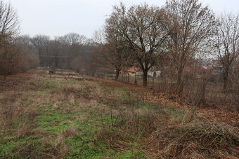 Predám stavebné pozemky v obci Belá pri Štúrove - 2