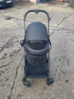 Kočik pre psika - 2