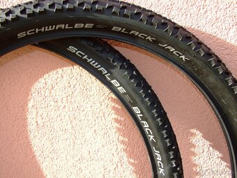 Plášte Schwalbe Black Jack 26x2,1 Active Line K-Guard - 2