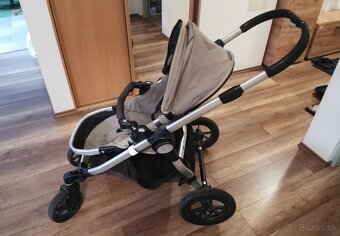 Surodenecky kociar - 2