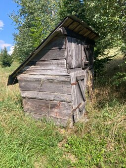 Kurnik, zajacinec - 2