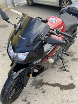 Kawasaki Ninja 250R - 2