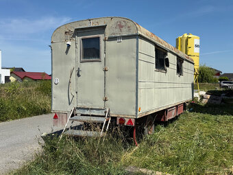 MARINGOTKA OBYTNÁ - 2