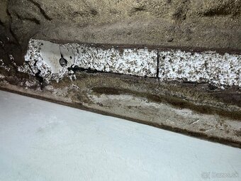 Terarium - 2