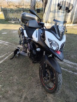 Suzuki V-strom650 + výmena - 2