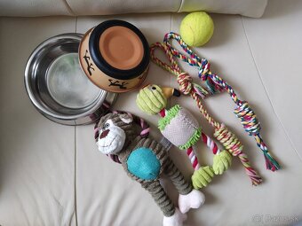 Nerezové misky pre psa + 4 nové hračky (osobný odber) - 2