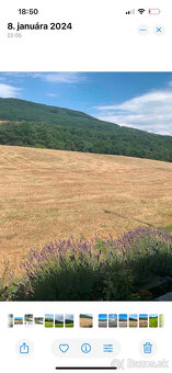 Predám pozemky na samote - 2