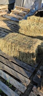 Malé balíky seno - 2