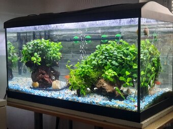 Akvárium 120 l komplet zabehnuté.✅️ - 2