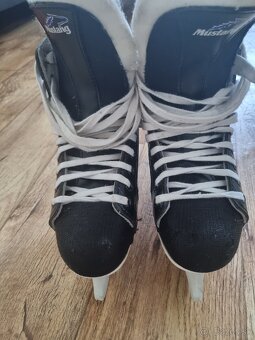 Hokejove korcule - 2