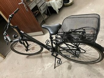 Damsky bicykel CTM Amber 1.0 2019 - 2