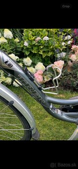 Mestský bicykel TREK Navigator T30 - 2