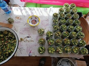 Zavárané jalapeňo chilli v Bio kvalite - 2