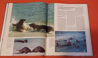 Morský breh-prírodovedná publikácia,Larousse,100% stav% - 2