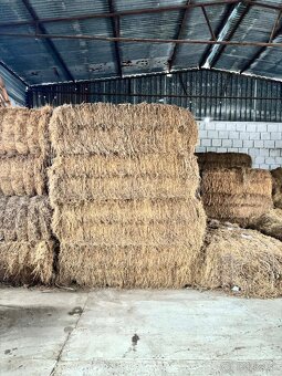Seno a slama - 2